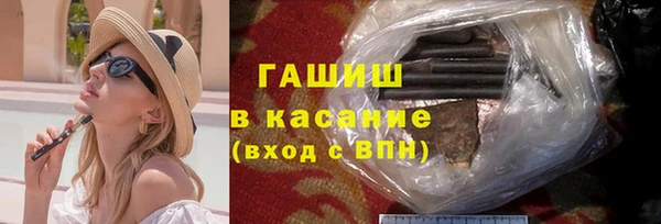 индика Няндома
