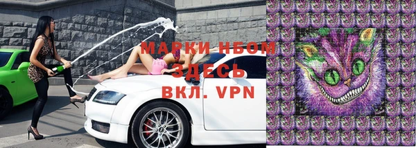 индика Няндома