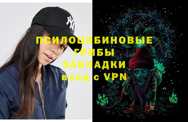винт Нягань