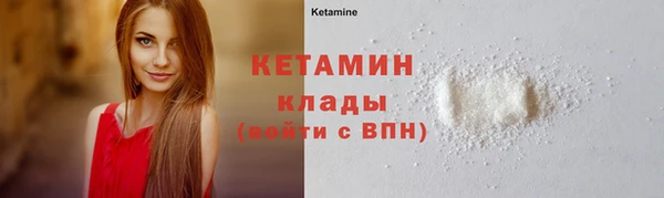 индика Няндома