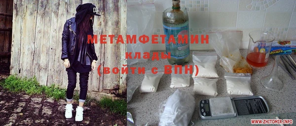 индика Няндома