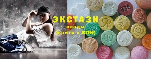 индика Няндома