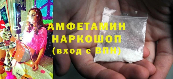 индика Няндома