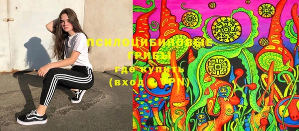 индика Няндома
