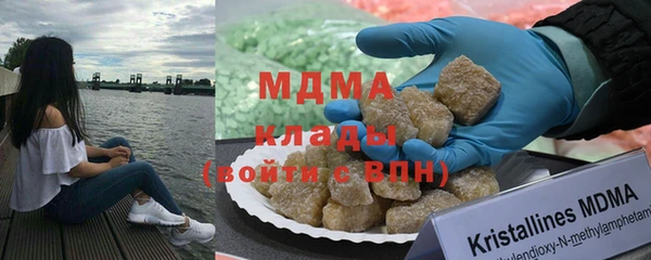 индика Няндома