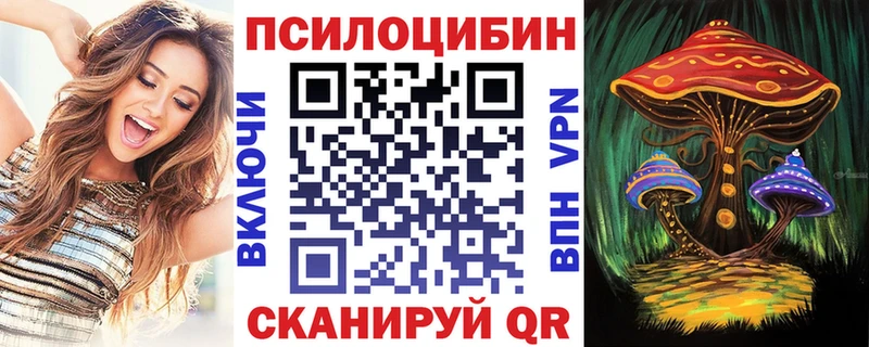 купить наркотики цена  MEGA зеркало  Галлюциногенные грибы GOLDEN TEACHER  Куровское 